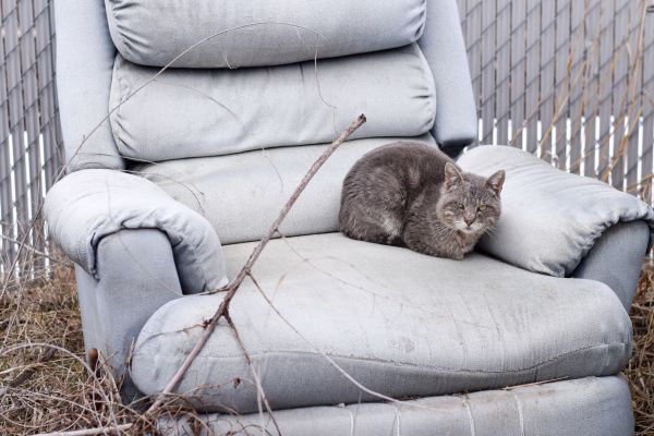 Recliner Disposal in Lansdale